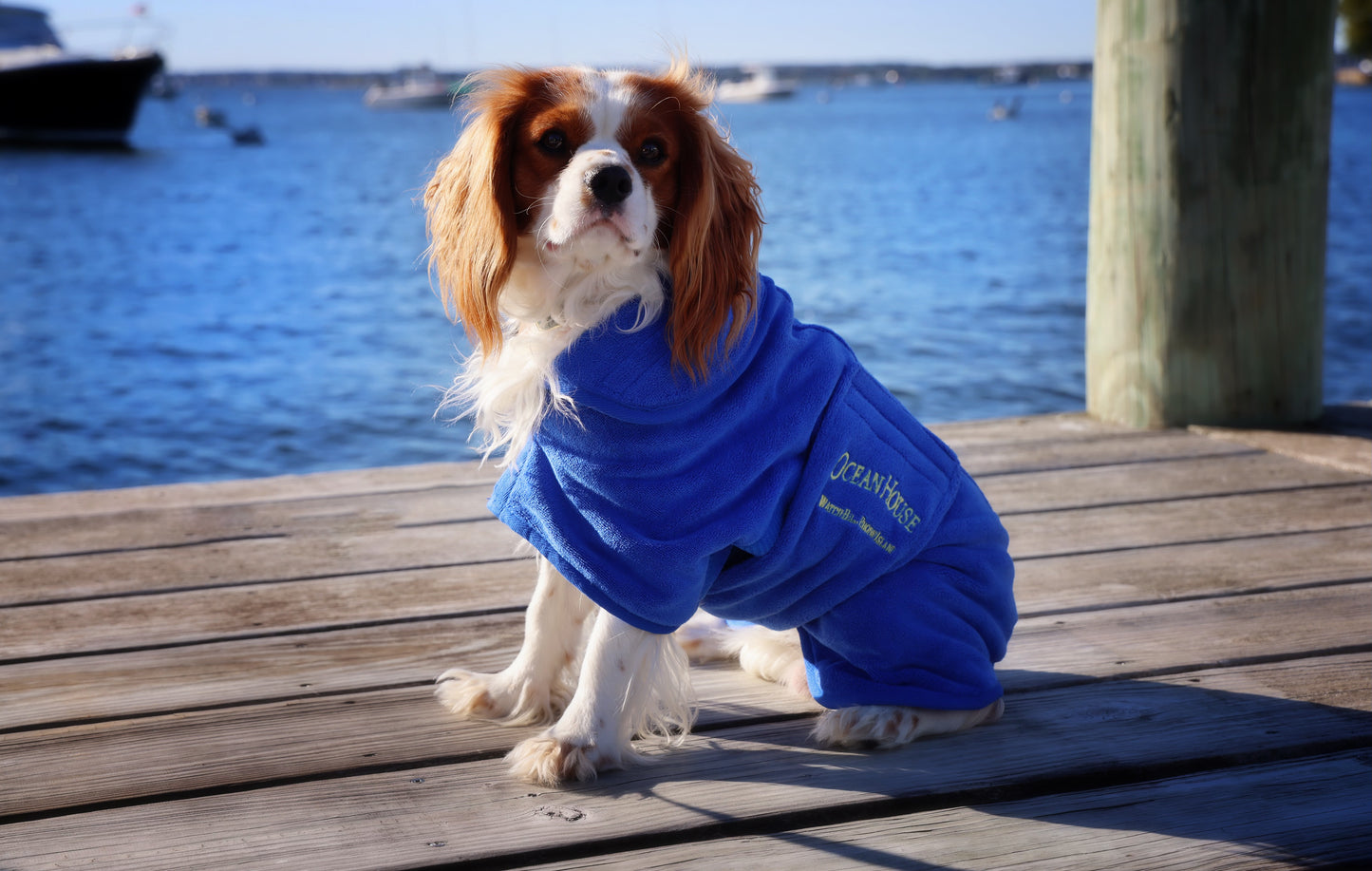 Ocean House Dog Robe by JHuhn