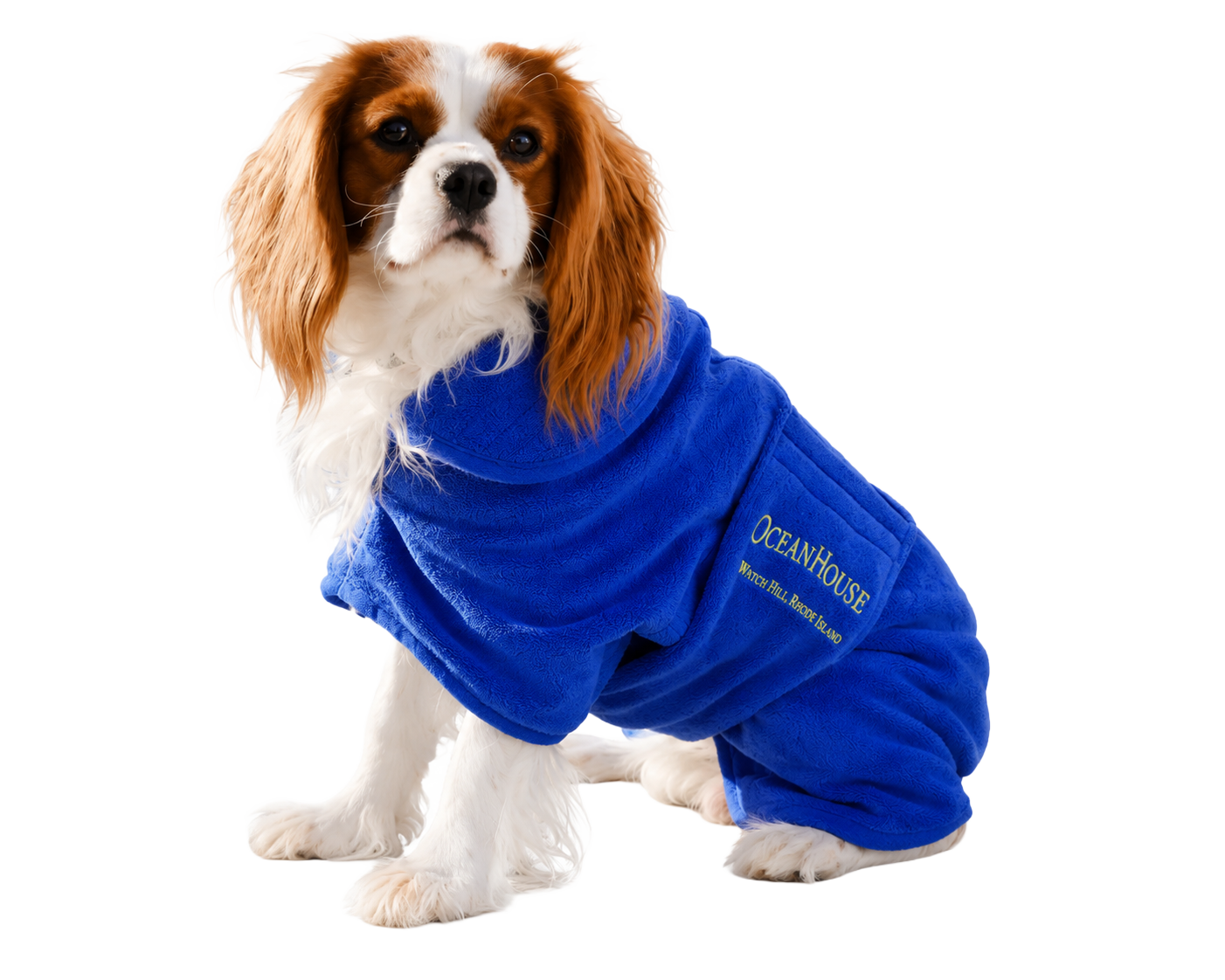 Ocean House Dog Robe by JHuhn